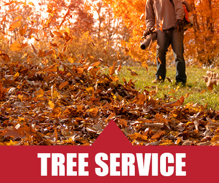 Fall Clean Up Rochester NY